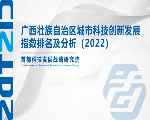 欧美大屌插穴【成果发布】广西壮族自治区城市科技创新发展指数排名及分析（2022）